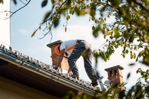 Best Roof Gutter Cleaning  in USA